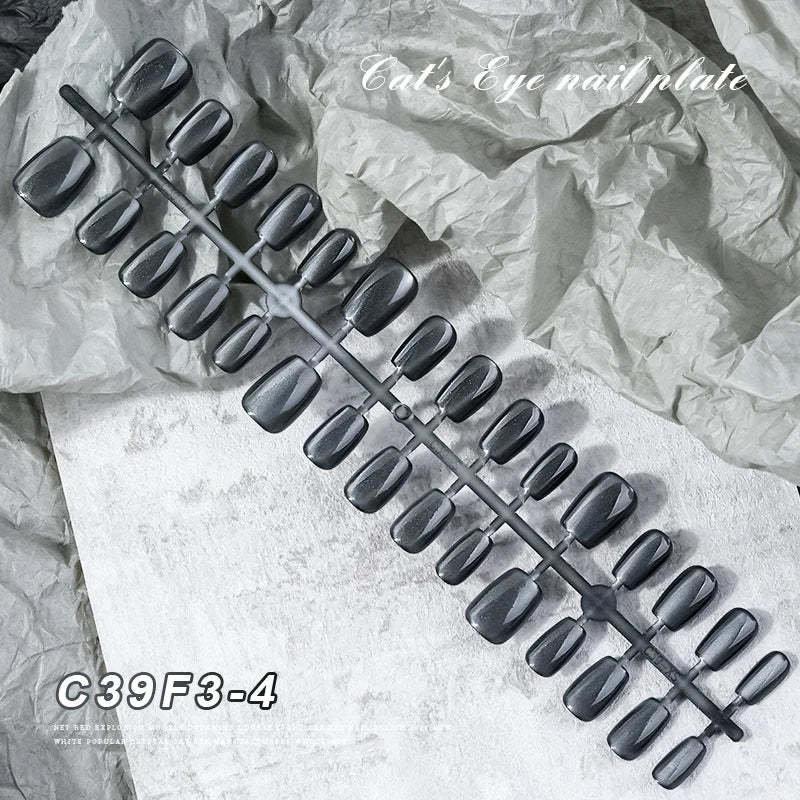 S47083510efe54d3789a1902ad111e7e84