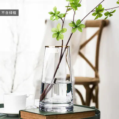 Trim Glass Vase for Nordic Minimalist Decor
