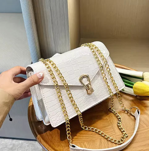 Luxury Chain Leather Bag